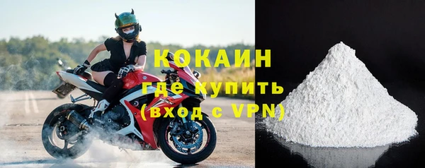 прущие грибы Хадыженск