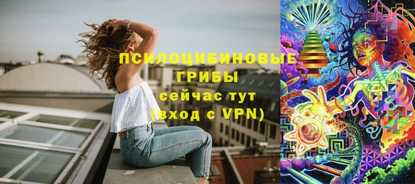 spice Володарск
