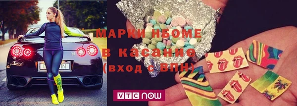 прущие грибы Хадыженск