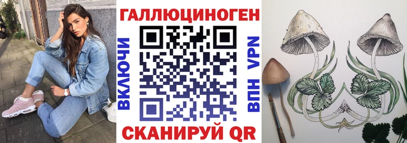 Галлюциногенные грибы Cubensis  Макаров 